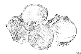 onion Coloring Pages To Print